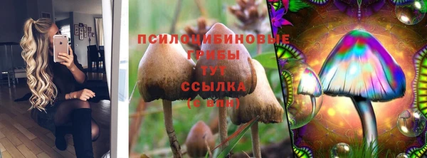 a pvp Володарск