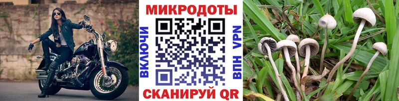 Псилоцибиновые грибы GOLDEN TEACHER  наркотики  KRAKEN ONION  Чита 